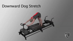 Downward Dog Stretch