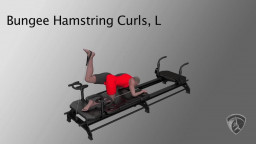 Bungee Hamstring Curls, L
