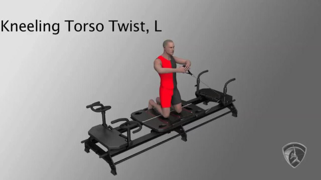 Kneeling Torso Twist, L