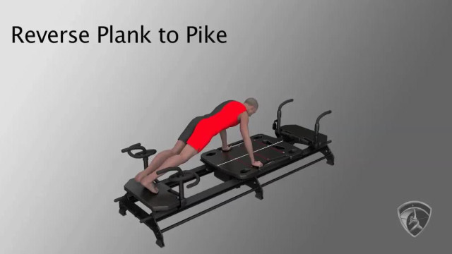 Reverse Plank to Pike