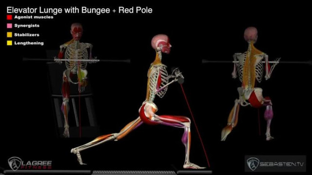 Elevator Lunge with Bungee and Red Pole